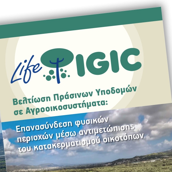 Life IGIC