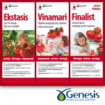Genesis genesis