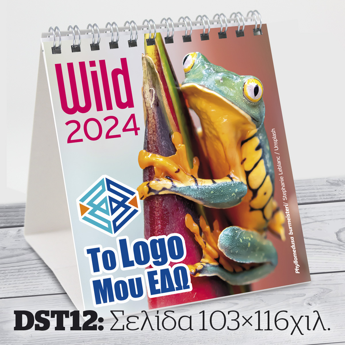 Desktop triangle diary DST12 Desktop triangle diary DST12