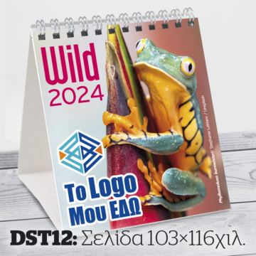 2024-diary-DST12